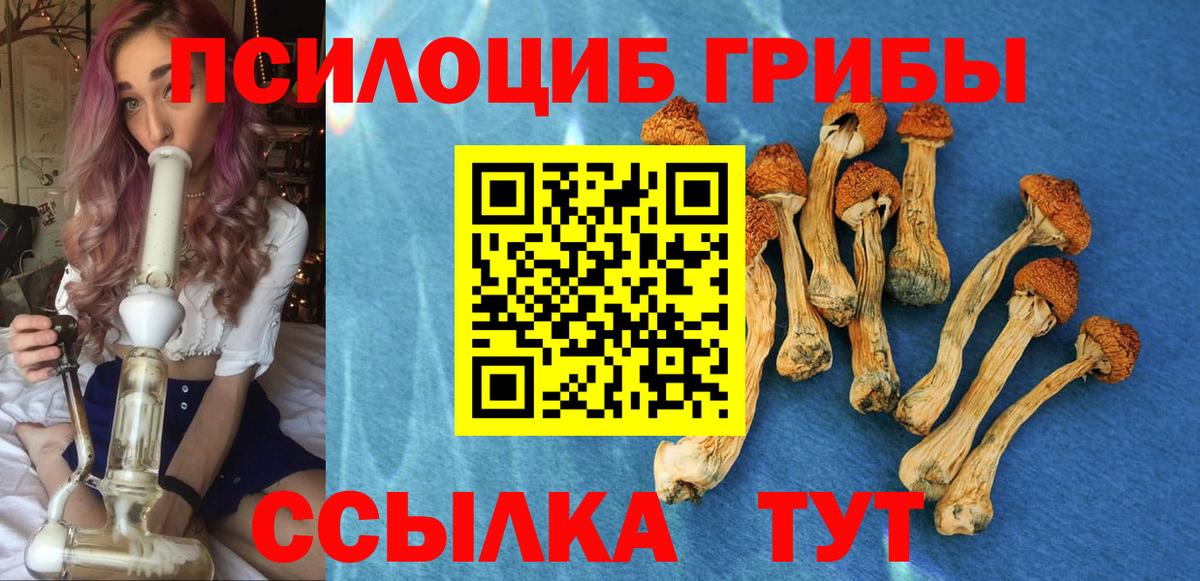 наркотики  Галлюциногенные грибы Psilocybine cubensis  Ростов-на-Дону  Вход с VPN  Галлюциногенные грибы мухоморы 